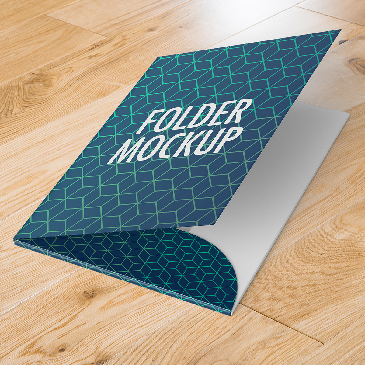 IMPRESION DE FOLDERS