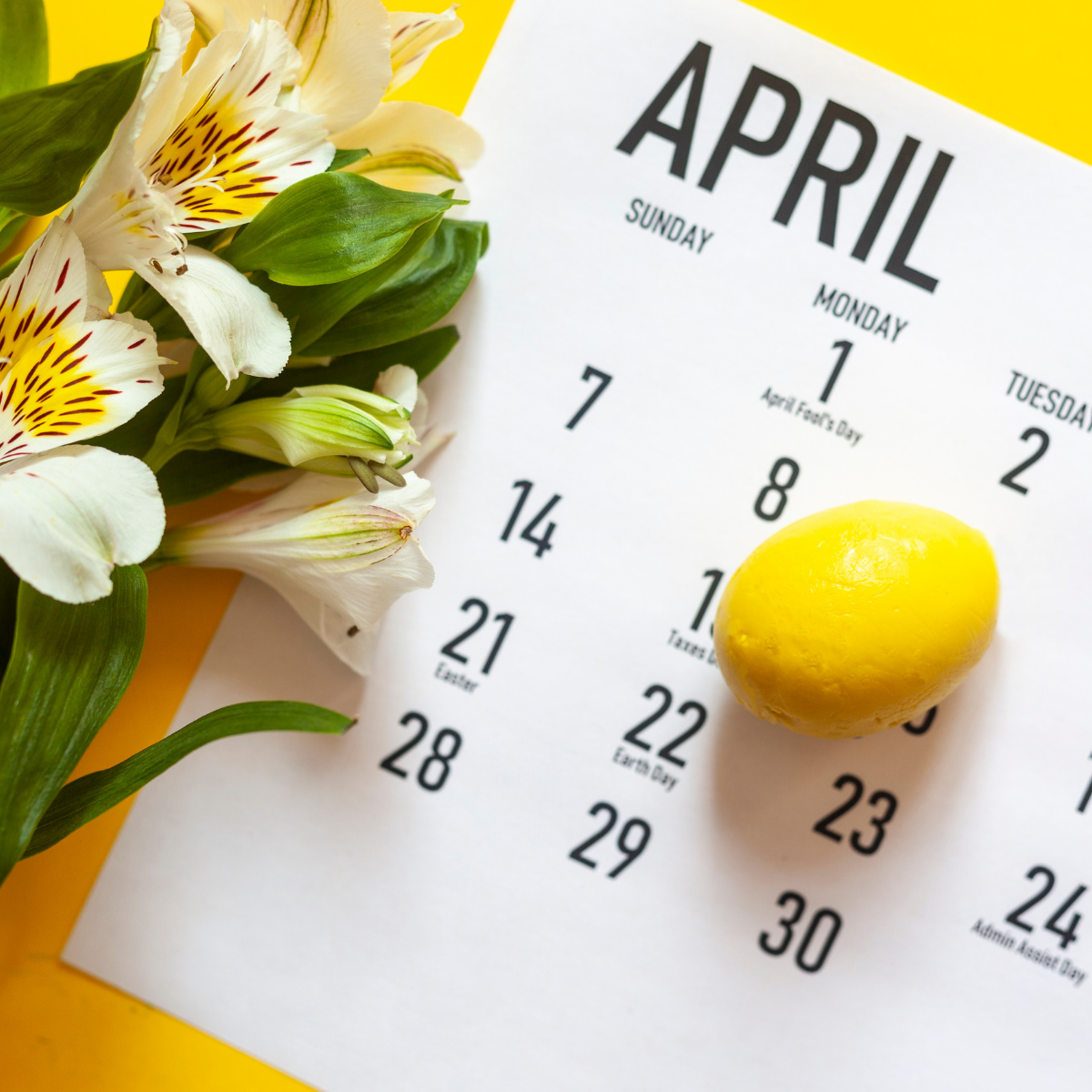 CALENDARIOS
